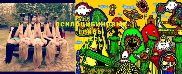 спайс Алексеевка