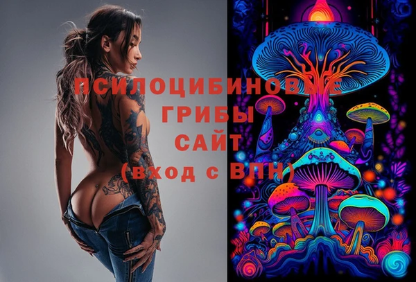 МДПВ Елизово