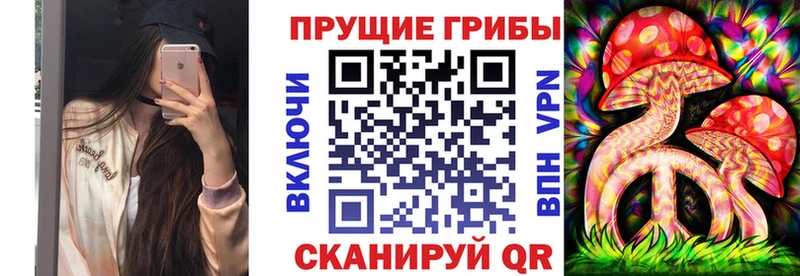 как найти наркотики  Кемь  Псилоцибиновые грибы мицелий 